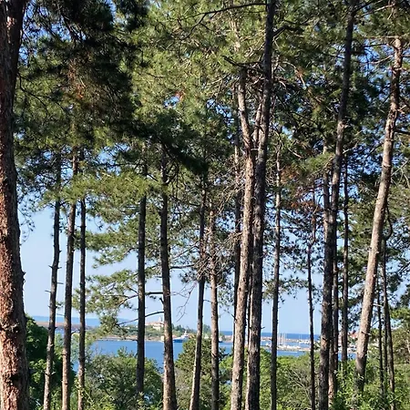 Apartmán Miomare, Santa Marina Village,